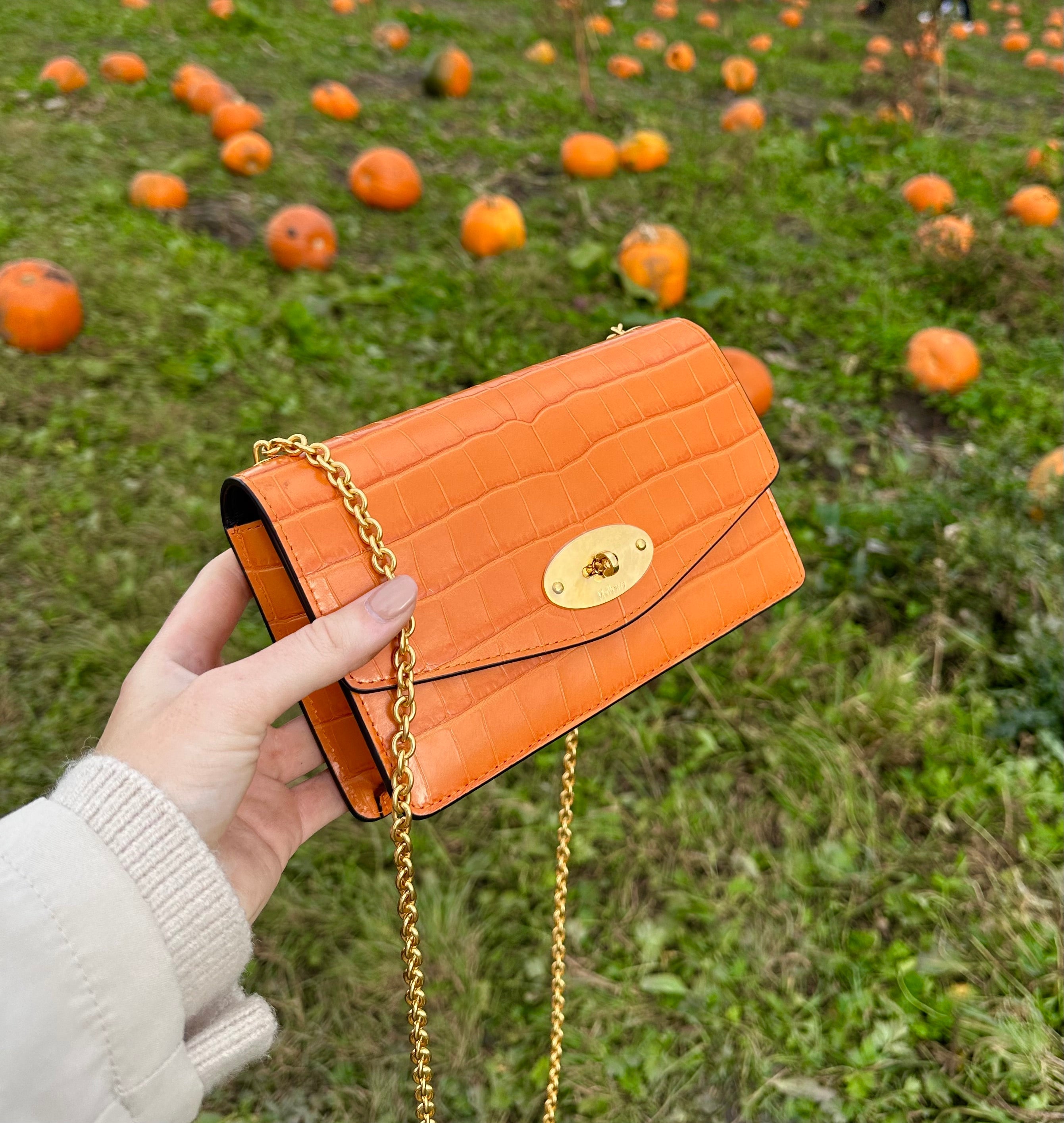 The Best Everyday Handbags and How to Protect Them